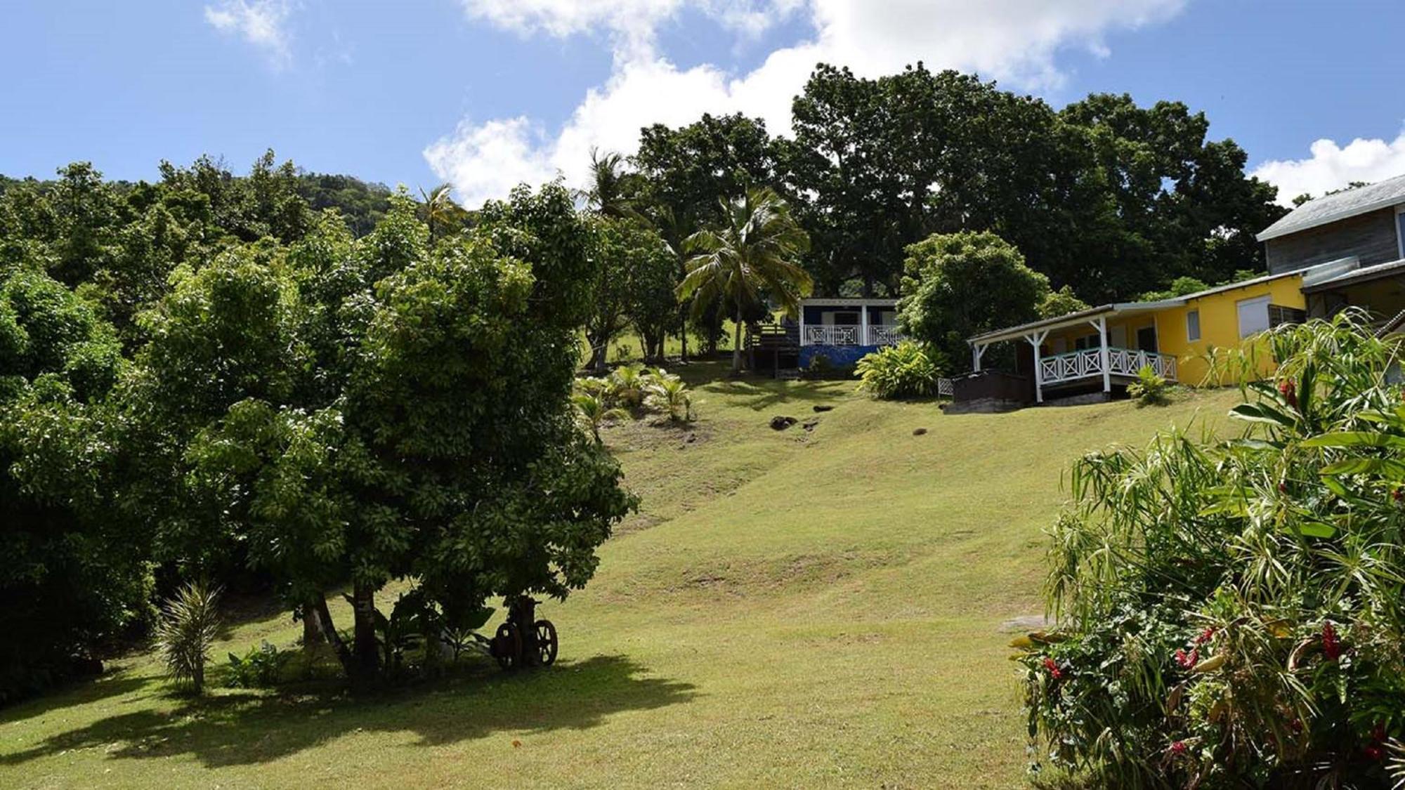 Habitation Pineau Vila Deshaies Exterior foto