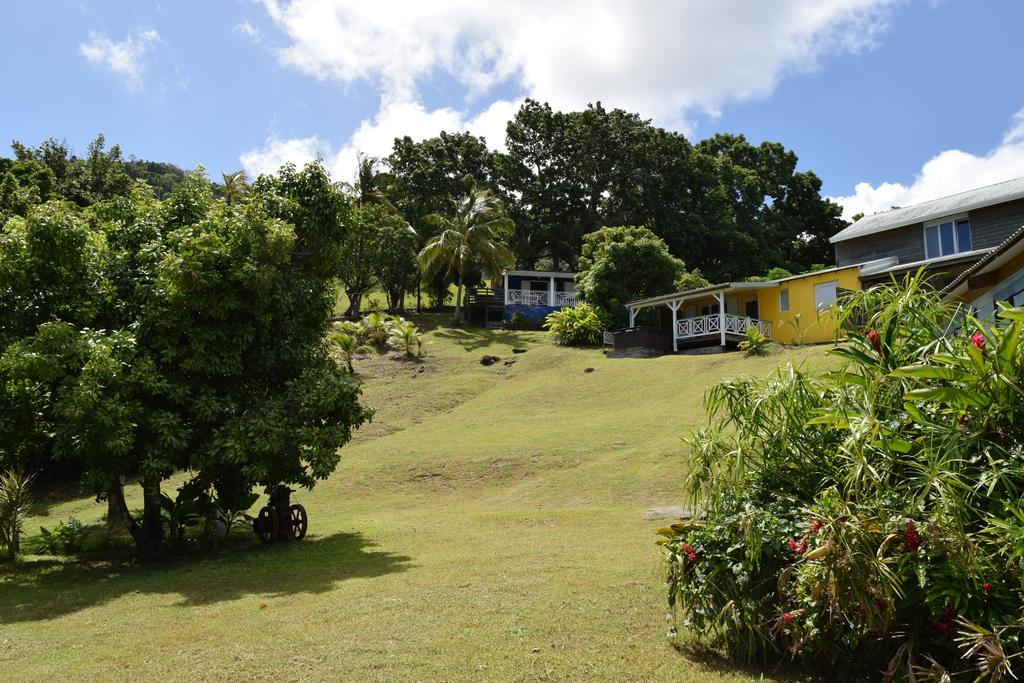 Habitation Pineau Vila Deshaies Exterior foto