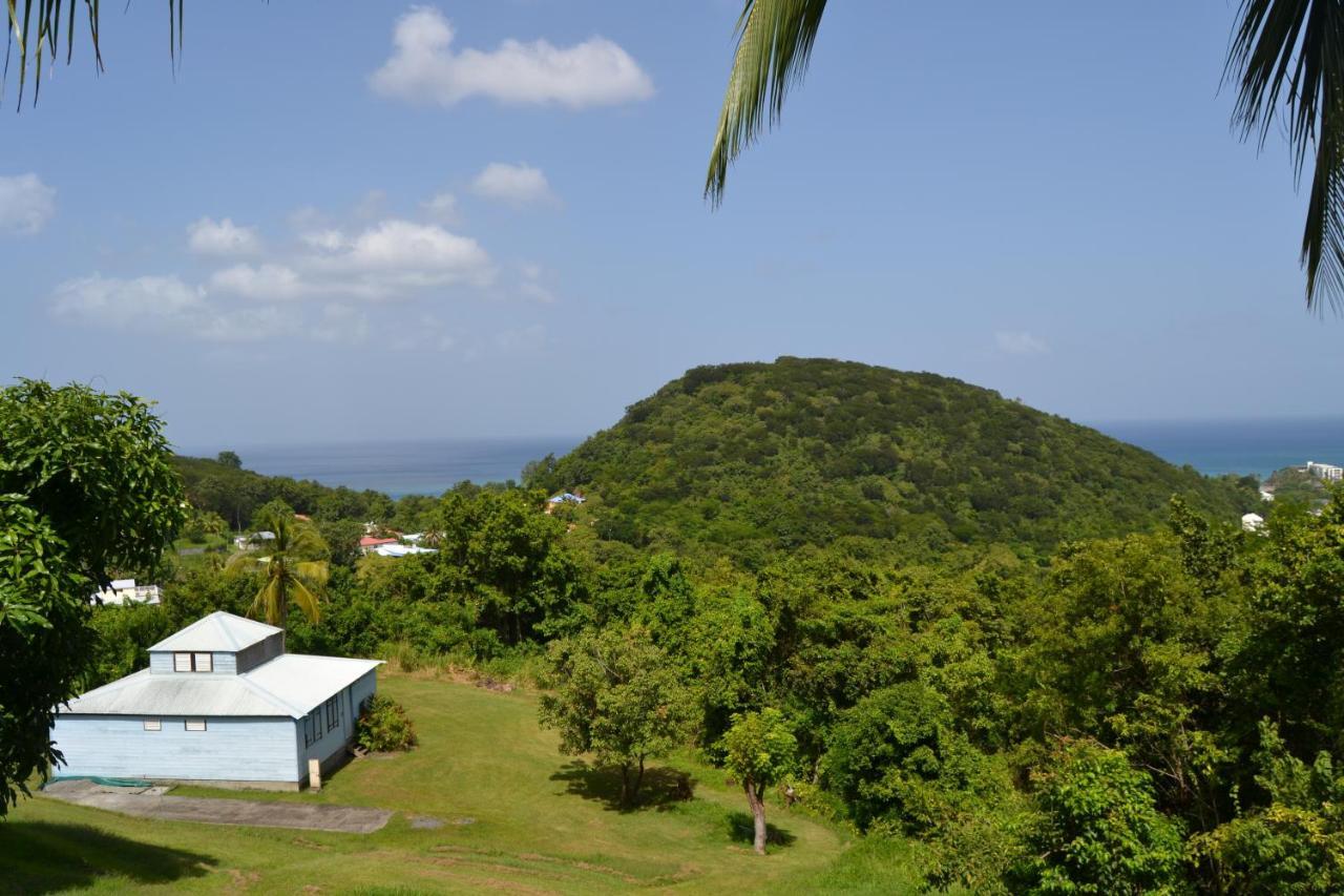 Habitation Pineau Vila Deshaies Exterior foto